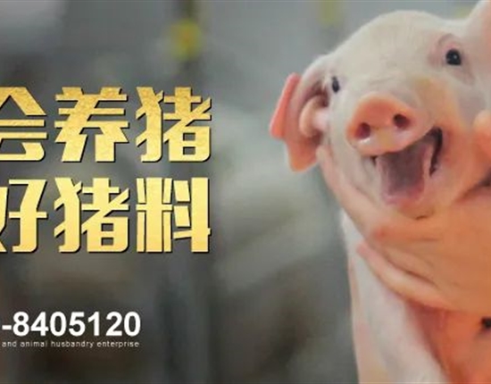 亿万官网app(2024已更新)最新版本2024年2月饲料原料运输招标公告
